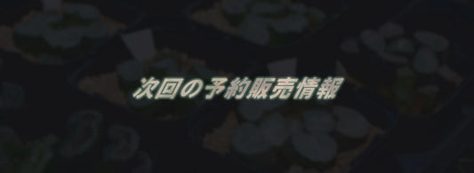 次回（2026年9月後半）の販売情報